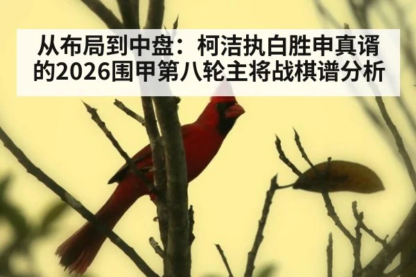 从布局到中盘:柯洁执白胜申真谞的2026围甲第八轮主将战棋谱分析