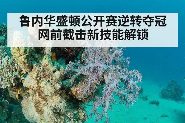 鲁内华盛顿公开赛逆转夺冠 网前截击新技能解锁